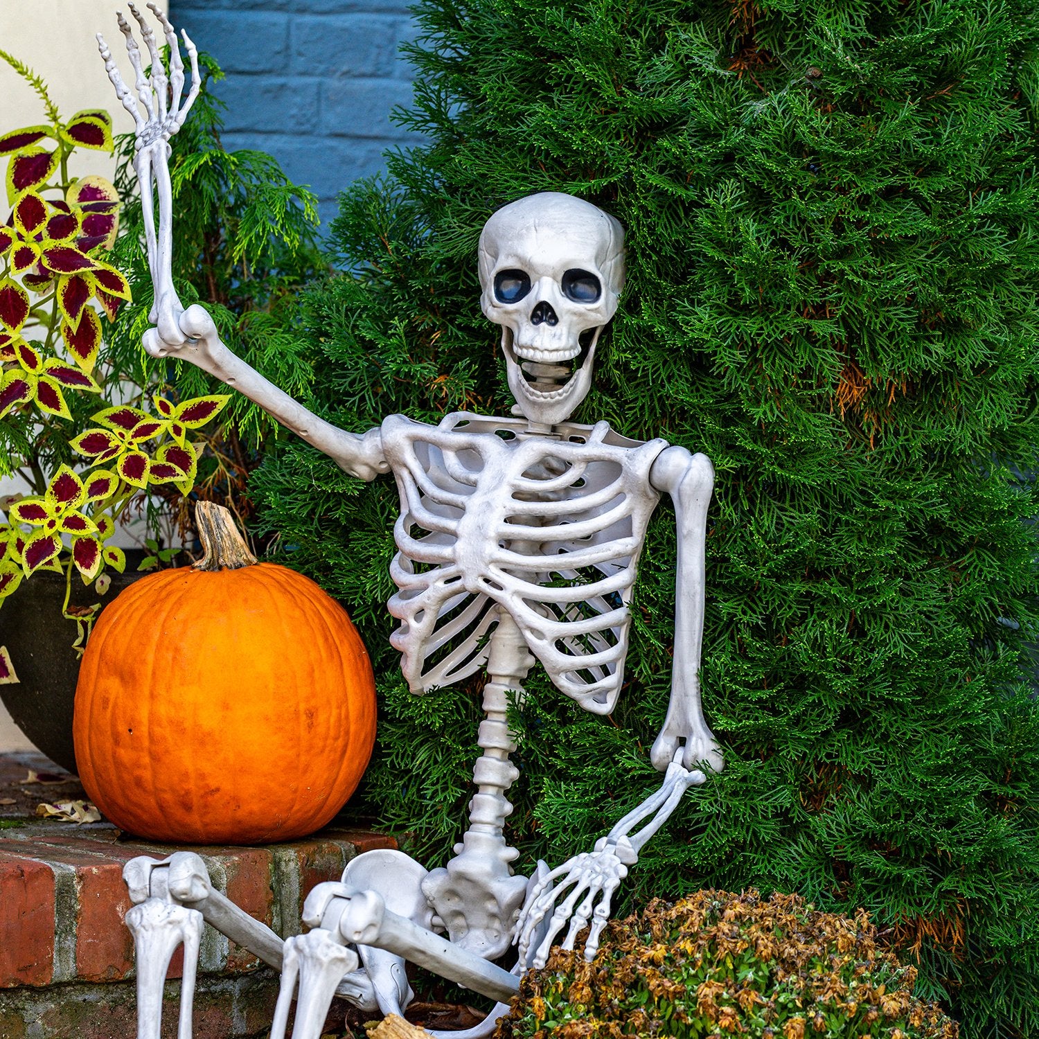 Halloween Outdoor Decorations