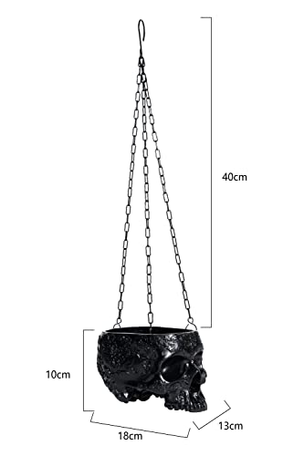Skull planter pot size