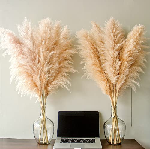 40-inch 10 Stems Natural Pampas Grass Decor