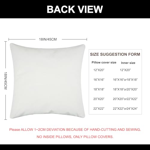 pillow cover size suggestions