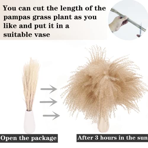 cut the length of pampas grass to fit your vase