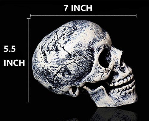 Realistic Skeleton Halloween Decoration Size