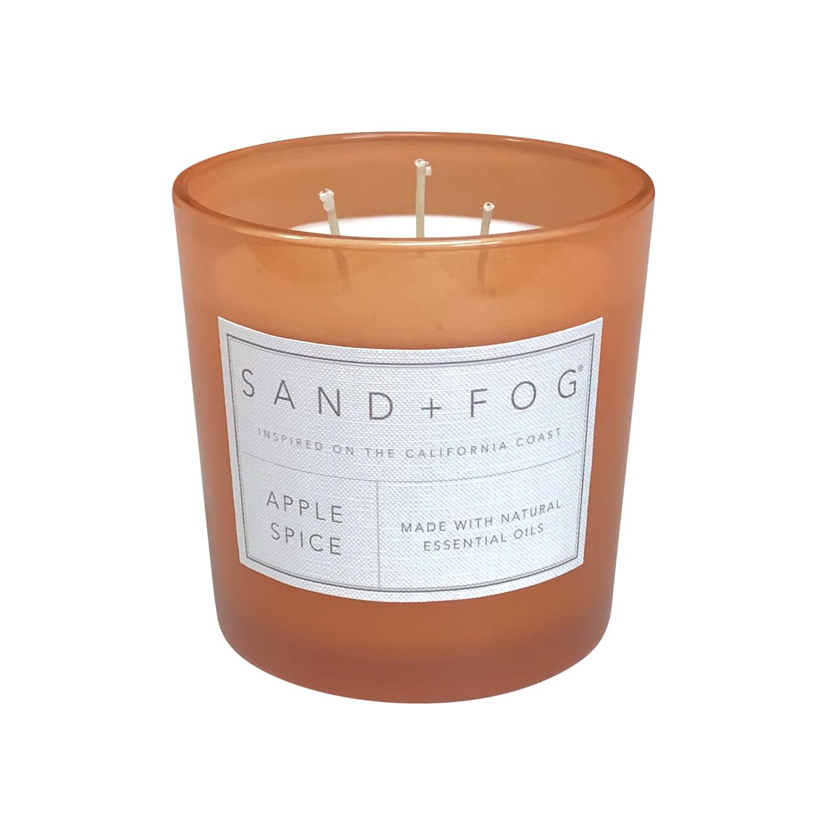 Apple Spice 3 Wick Candle