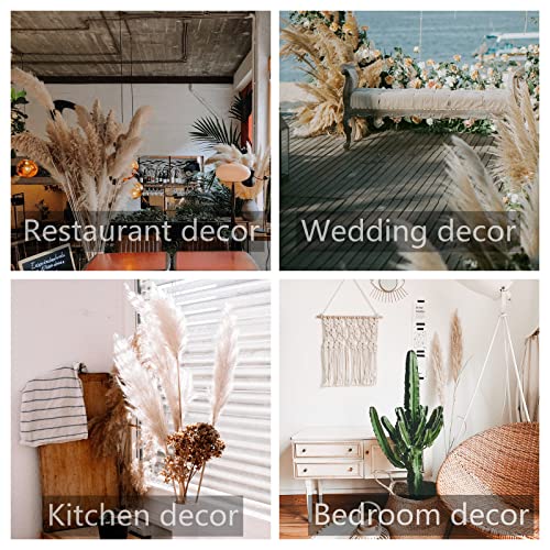 Pampas grass decoration