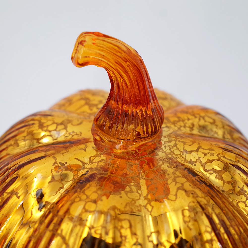 pumpkin stem close up