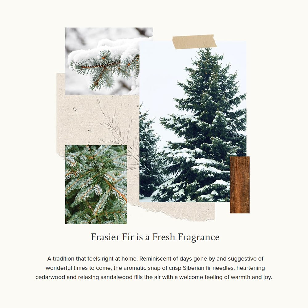 Frasier Fir Description
