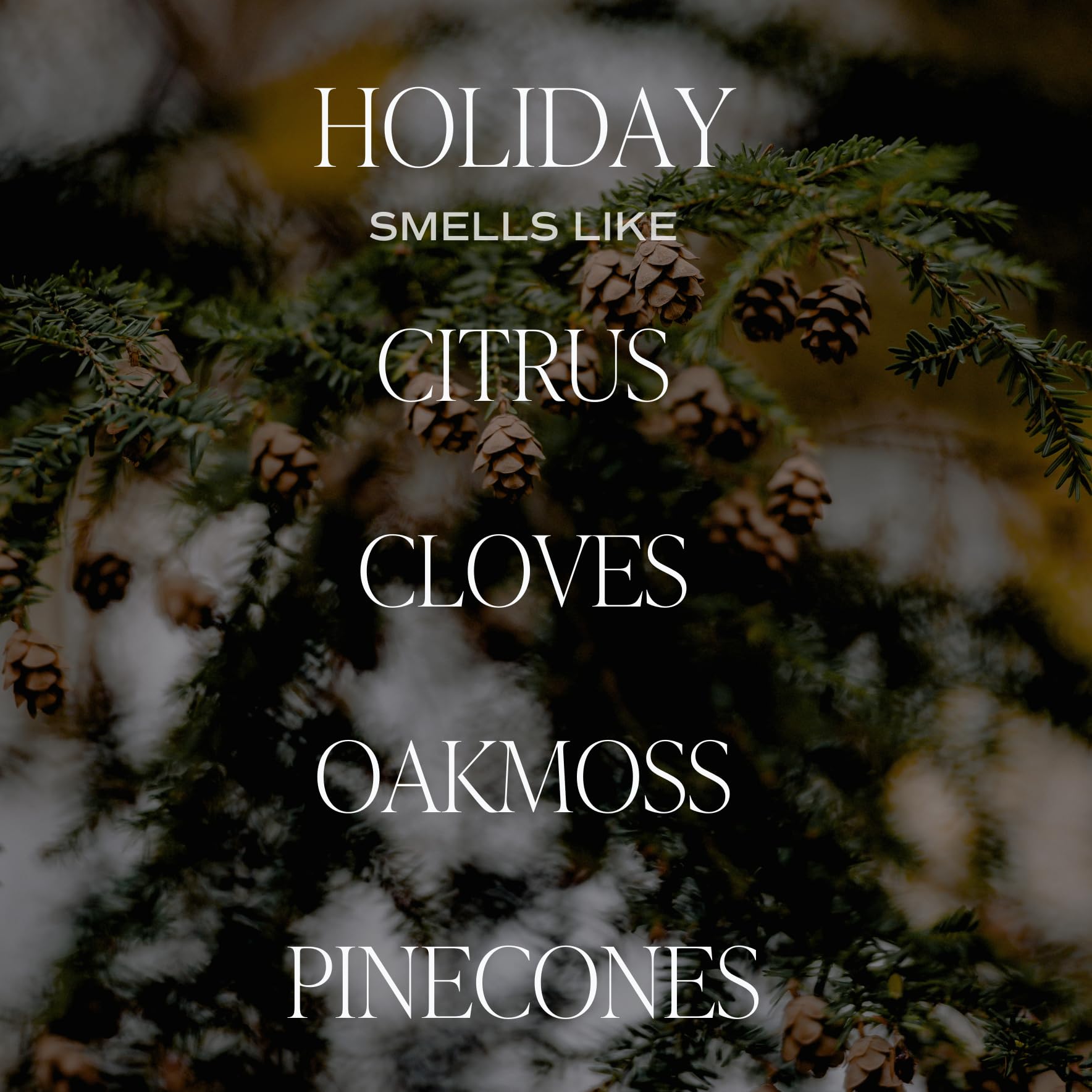 Holiday candle features notes of citrus, cloves, oakmoss, pinecones