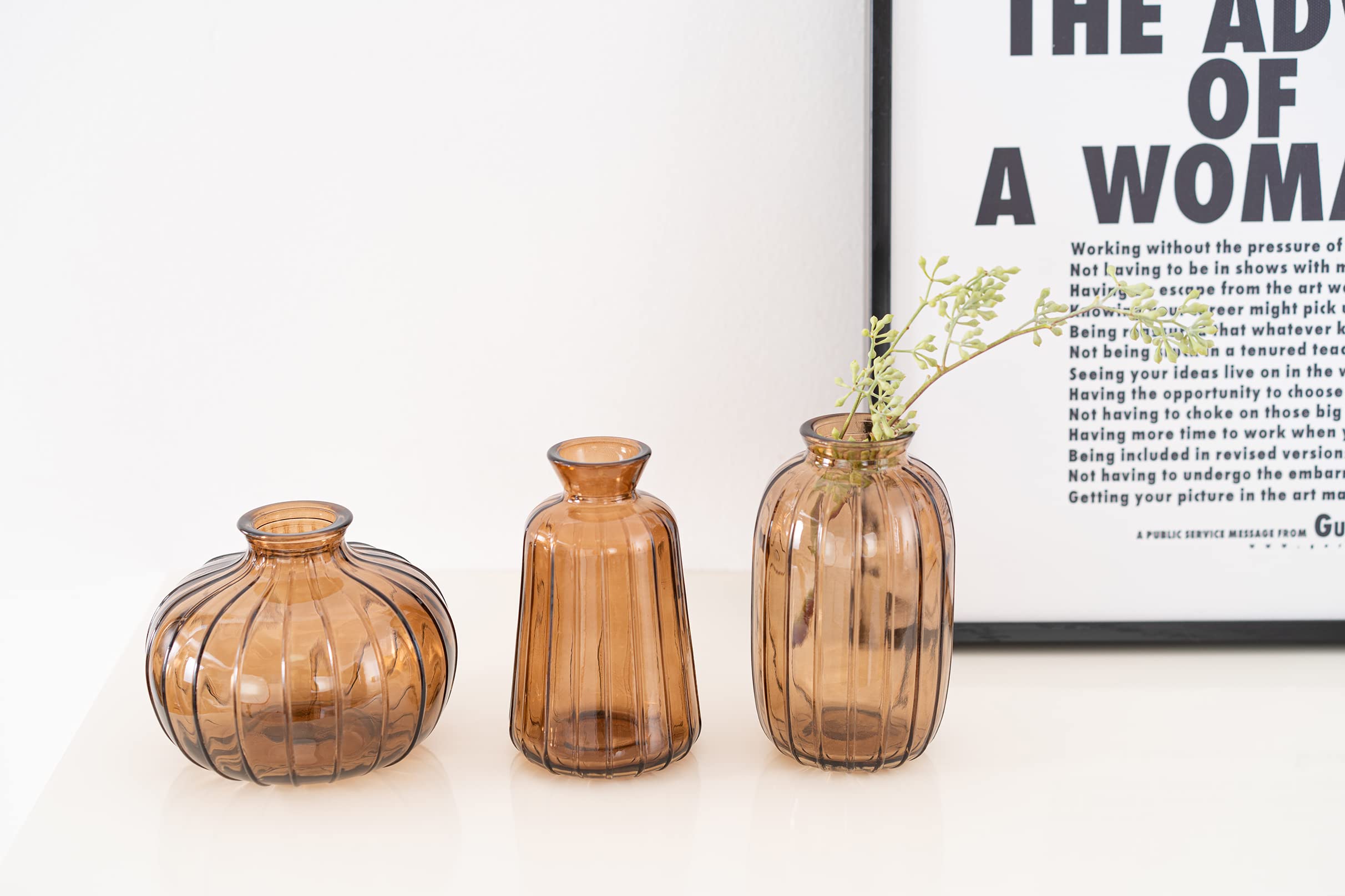 3 Small Vase Mini Glass Vases for Fall Indoor Decor