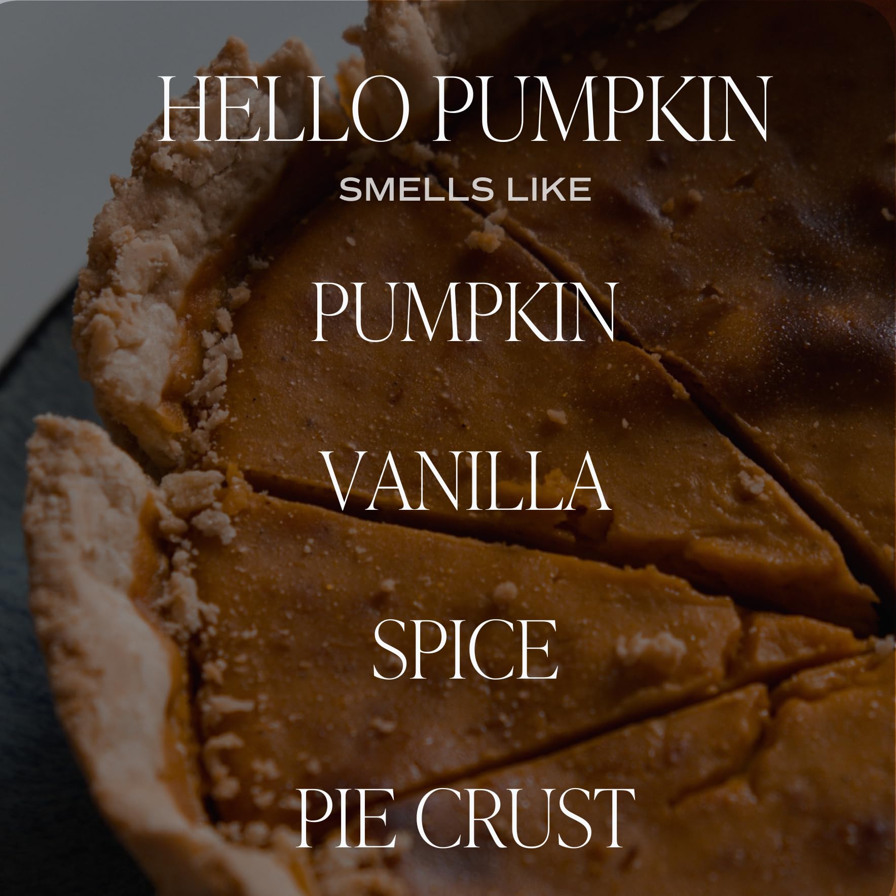 Hello pumpkin candle smells like Pumpkin, Warm Spices, Vanilla, Whipped Cream, Buttery Pie Crust
