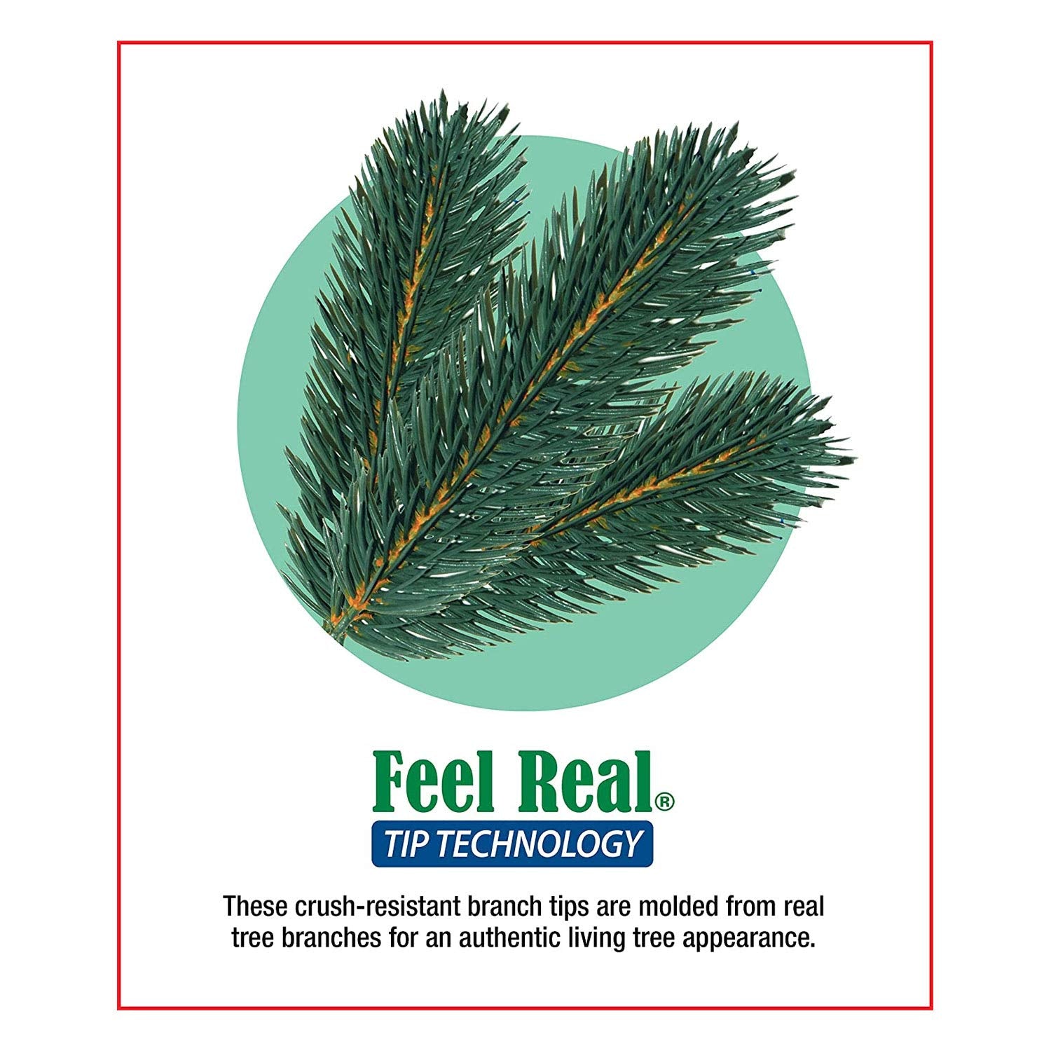 authentic branch appearance