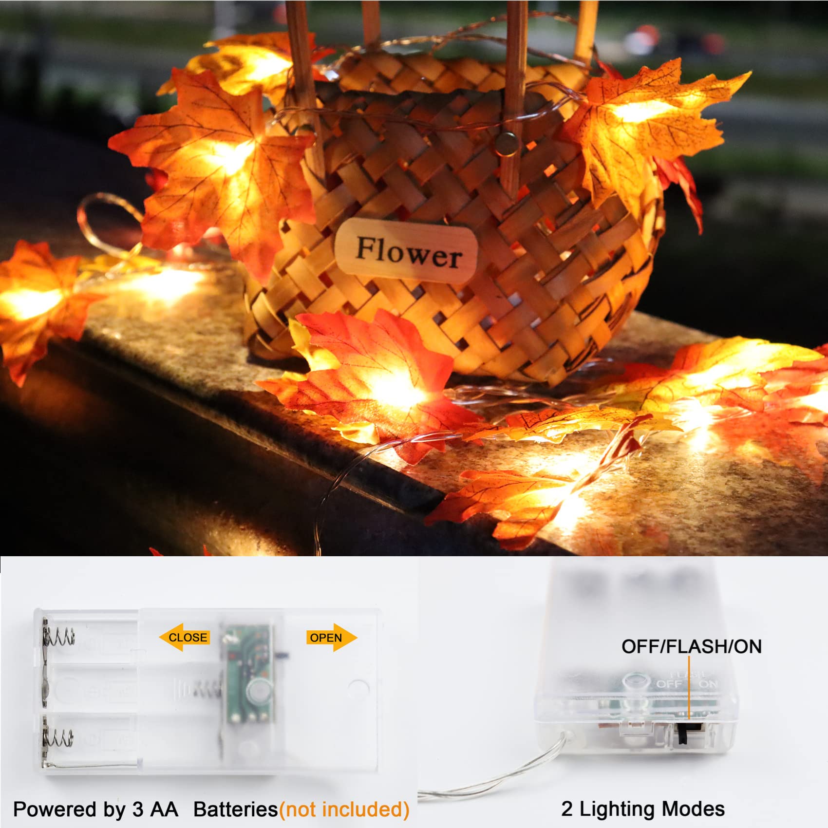 Fall battery powered LED string lights