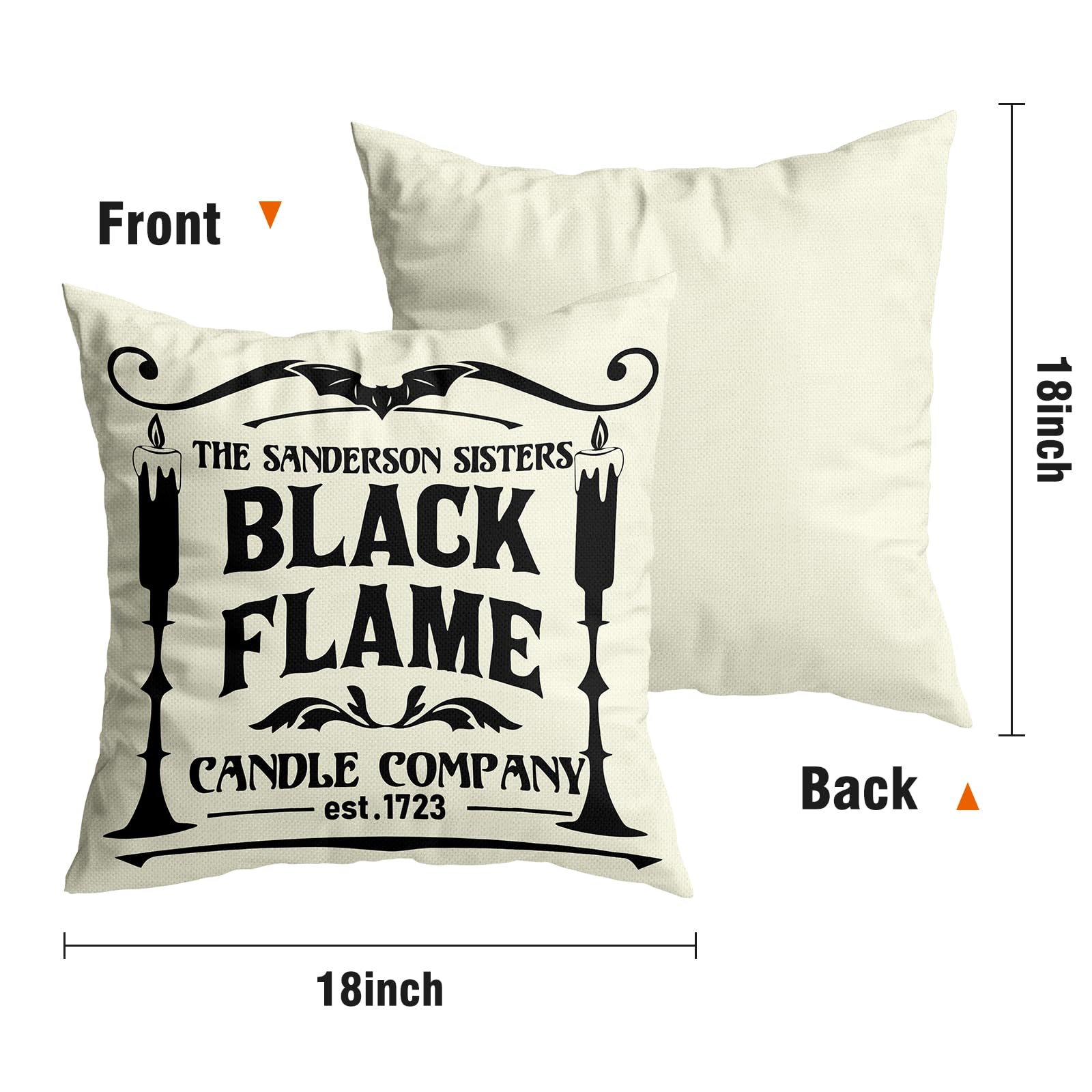Hocus Pocus Halloween Pillow Cover Size