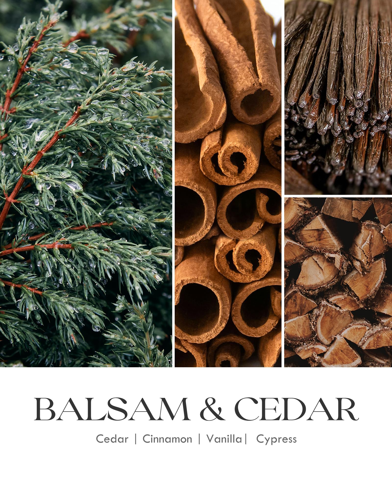 balsam and cedar holiday candle - smells like cedar, cinnamon, vanilla and cypress