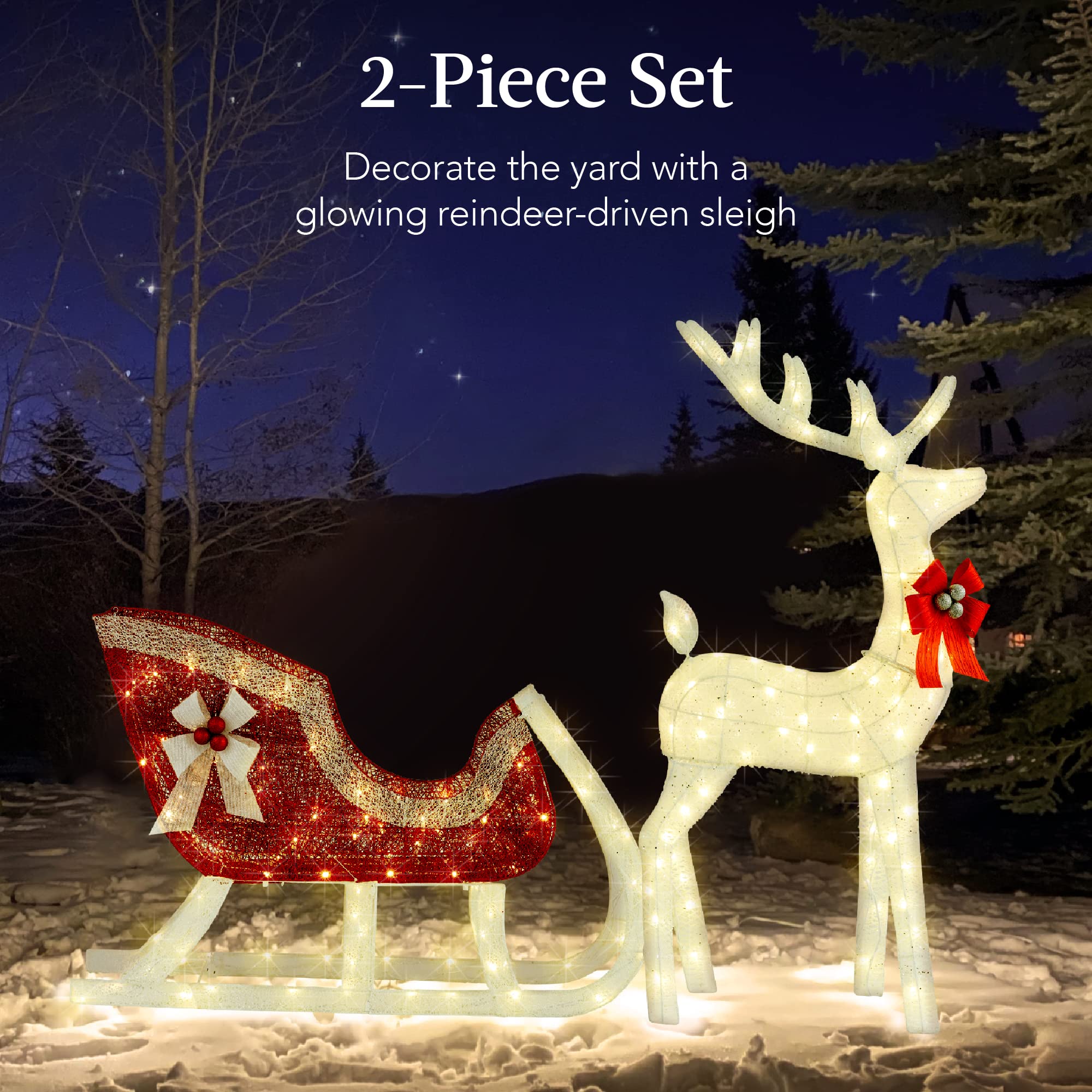 Reindeer and sleigh 2 piece decoration set