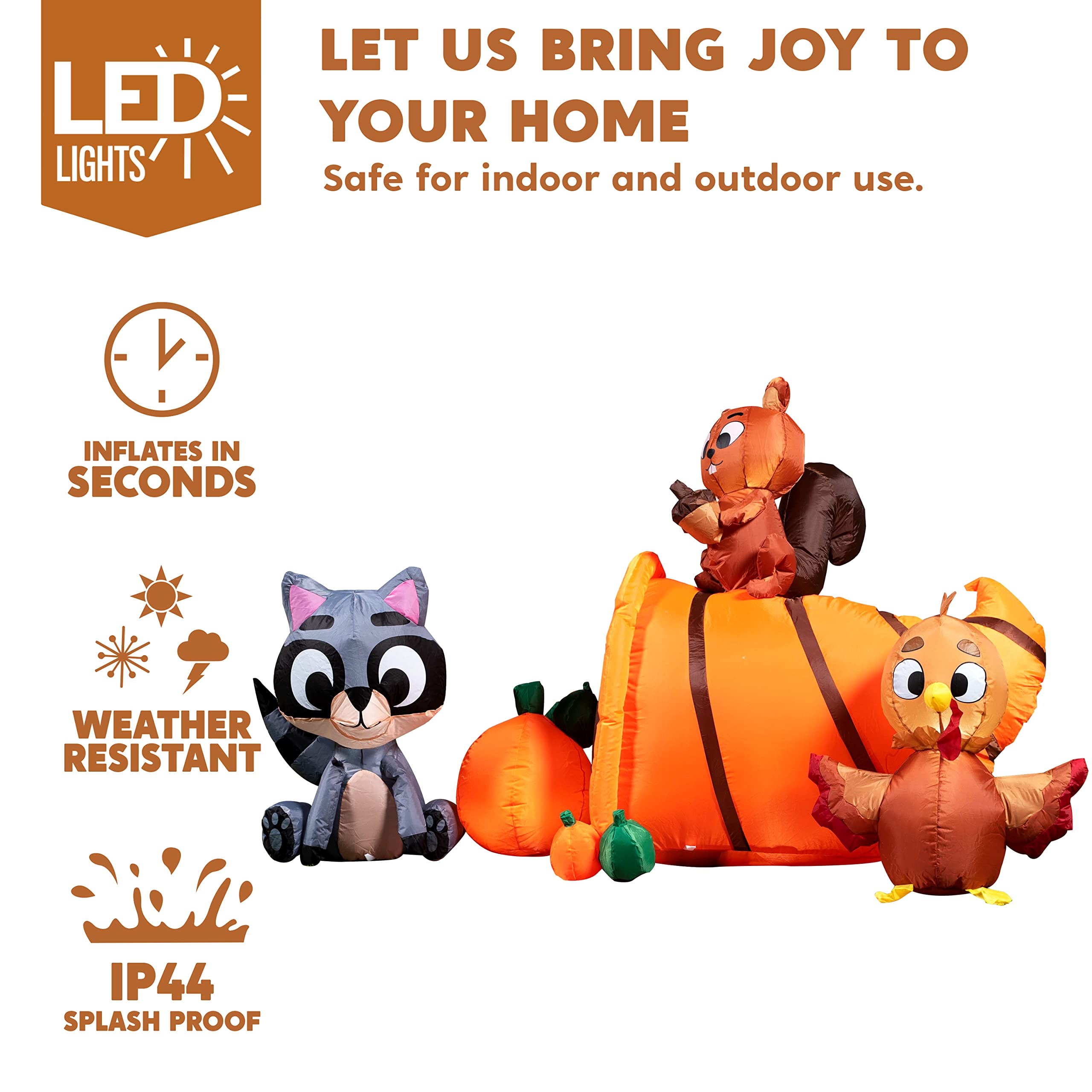 inflatable features