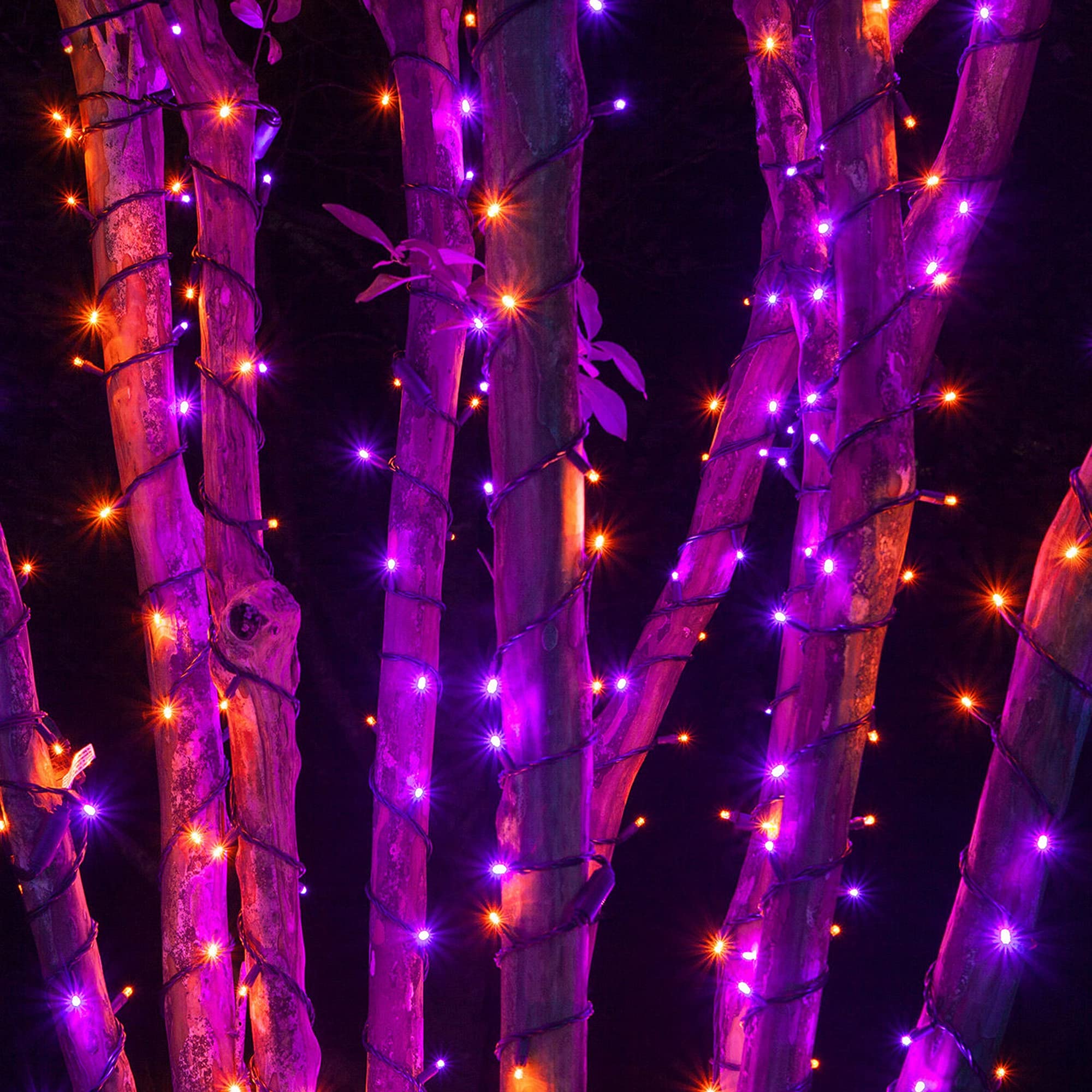 Outdoor Halloween LED String Lights with purple and orange LEDs