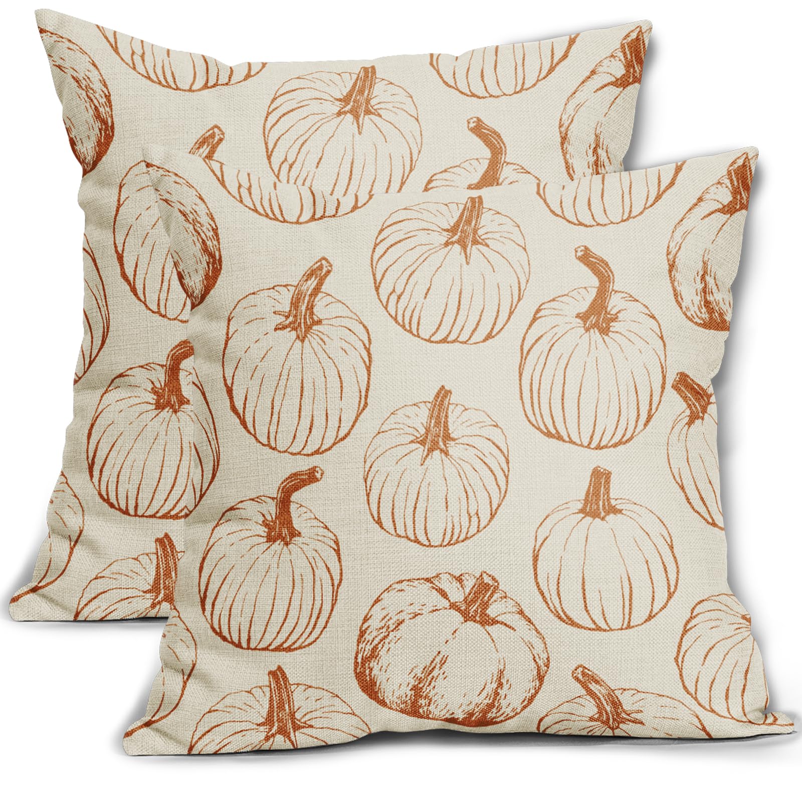 Set of 2 Pumpkin Decorative Fall Throw Pillow Covers