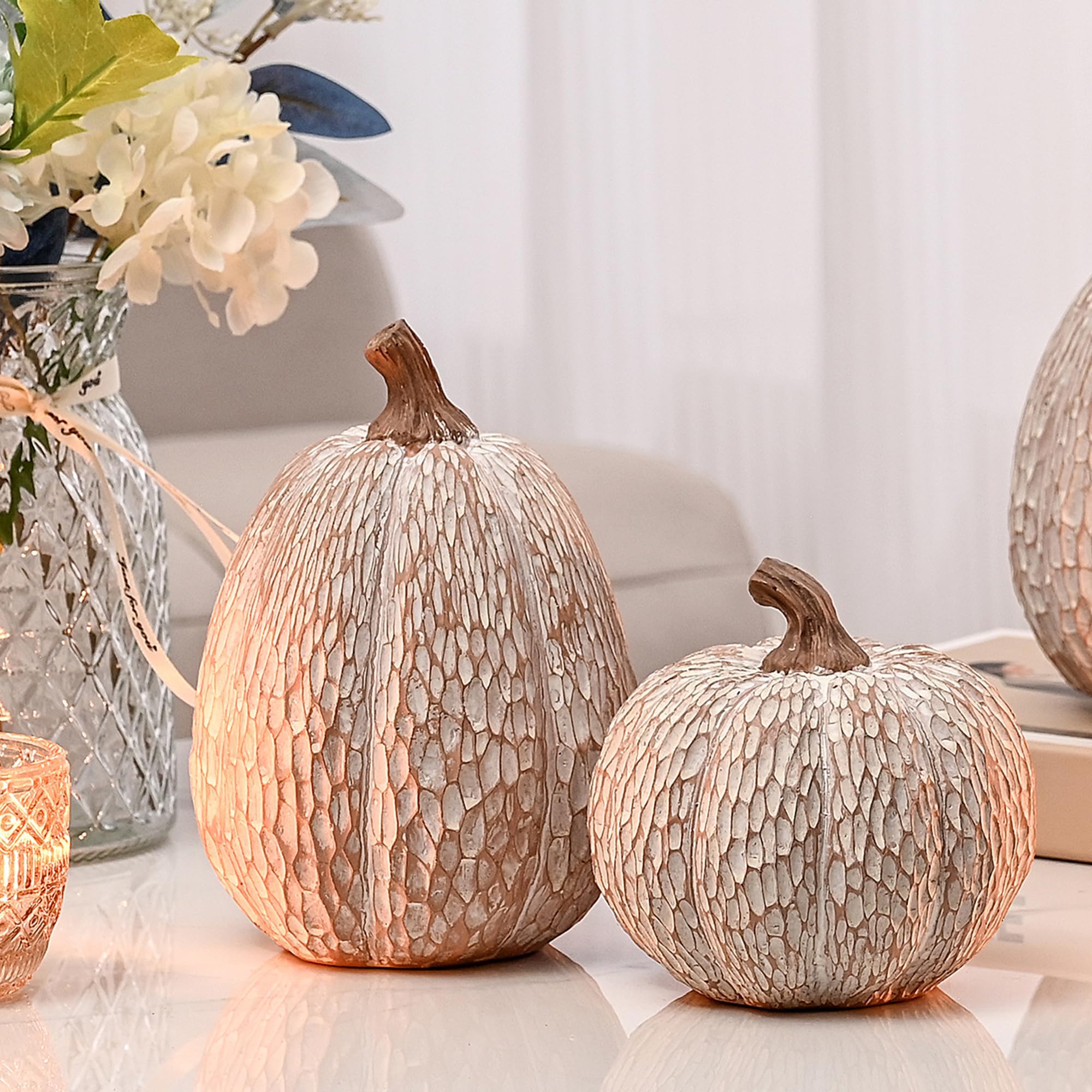 Set of 2 Brown and White Decorative Pumpkins