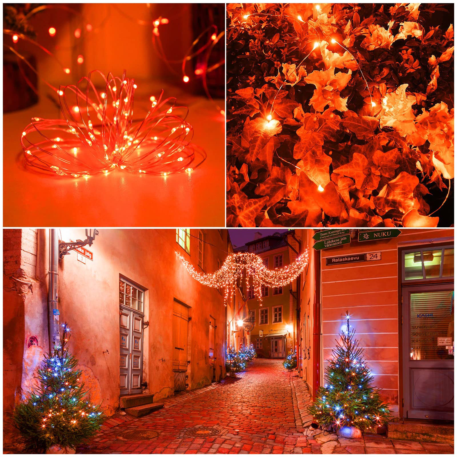 Orange string lights fall outdoor