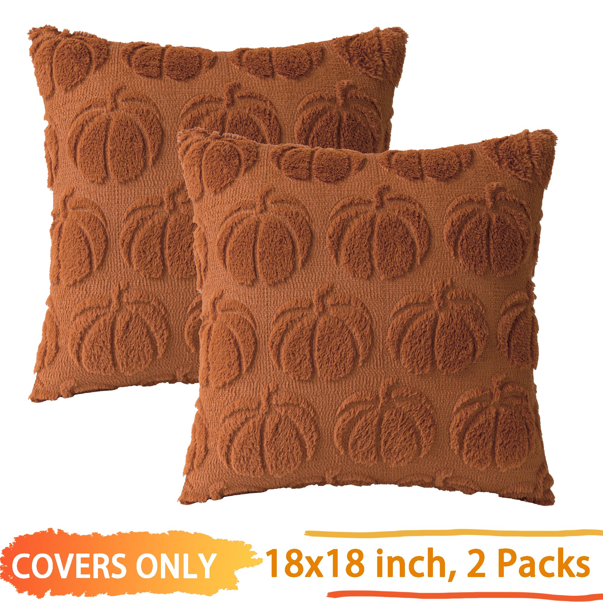 2 pack pumpkin fall throw pillow cover set