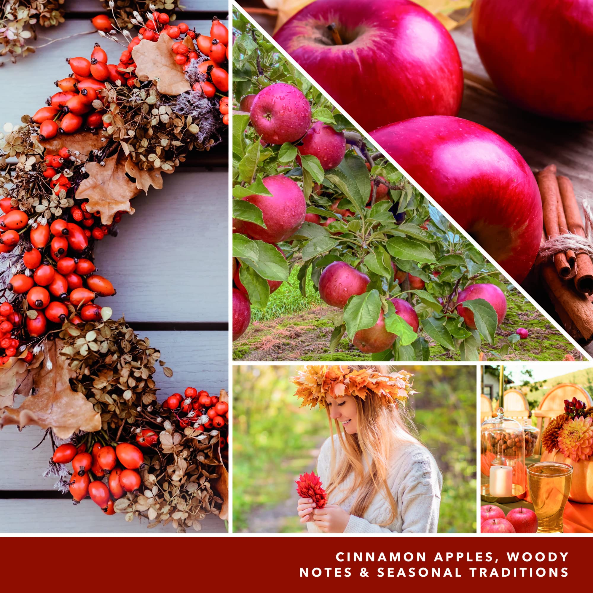 candle fragrance notes