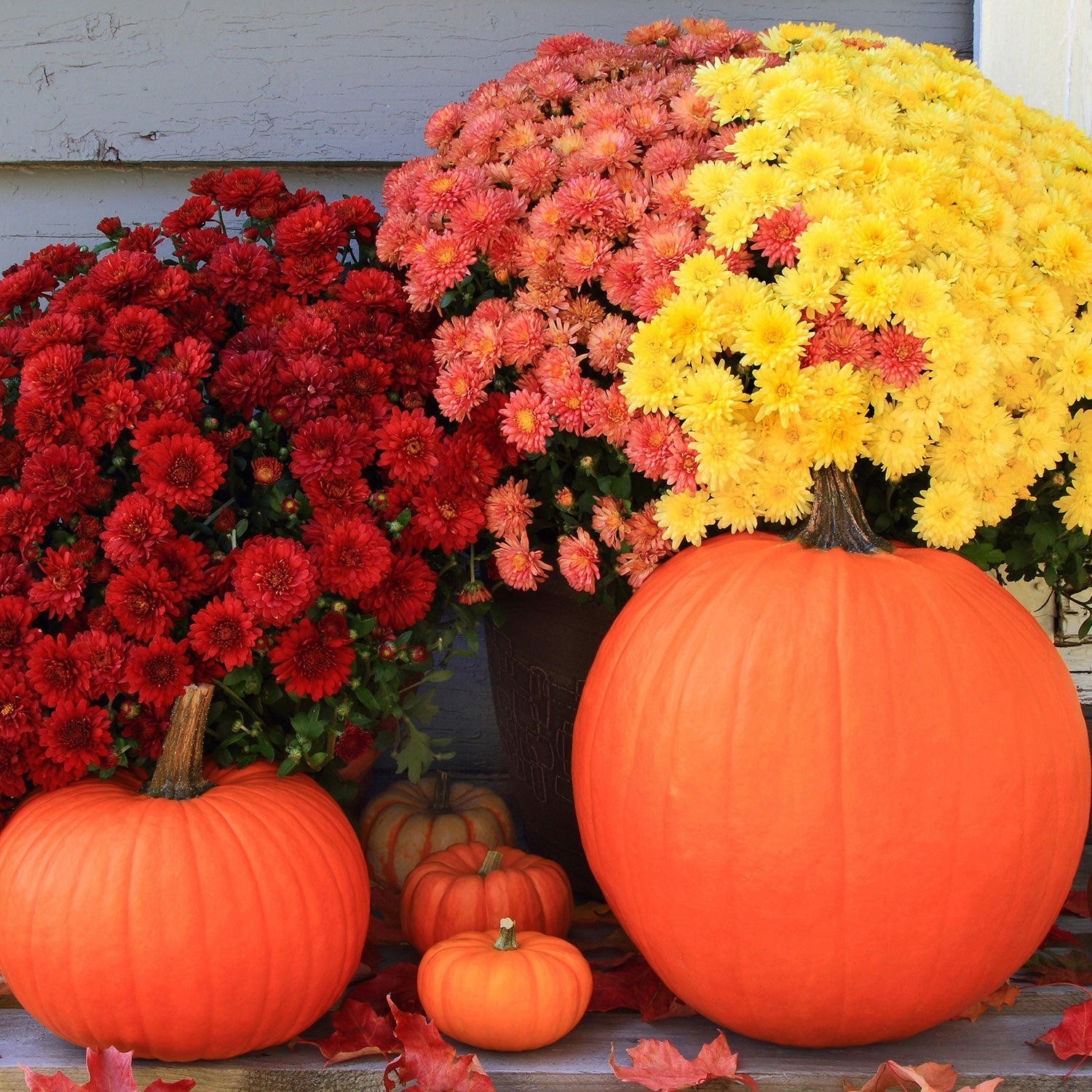 Faux Fall Flowers
