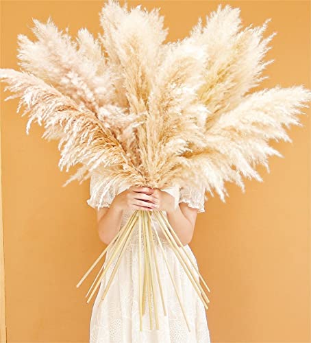 40-inch 10 Stems Tall Natural Pampas Grass Decor