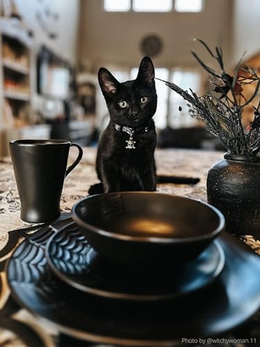 Spiderweb Dinnerware Set (16 Pieces) - Black Matte Porcelain