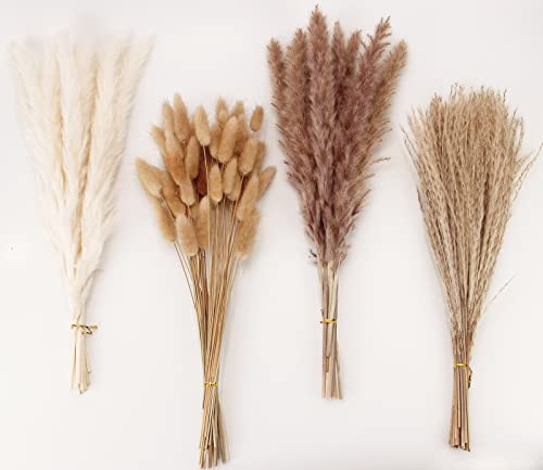 Dried Pampas Grass Decor, 100 PCS Pampas Grass (White and Brown)