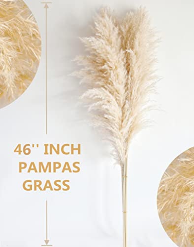 40-inch 10 Stems Tall Natural Pampas Grass Decor