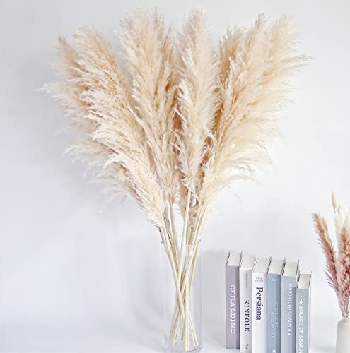 40-inch 10 Stems Tall Natural Pampas Grass Decor