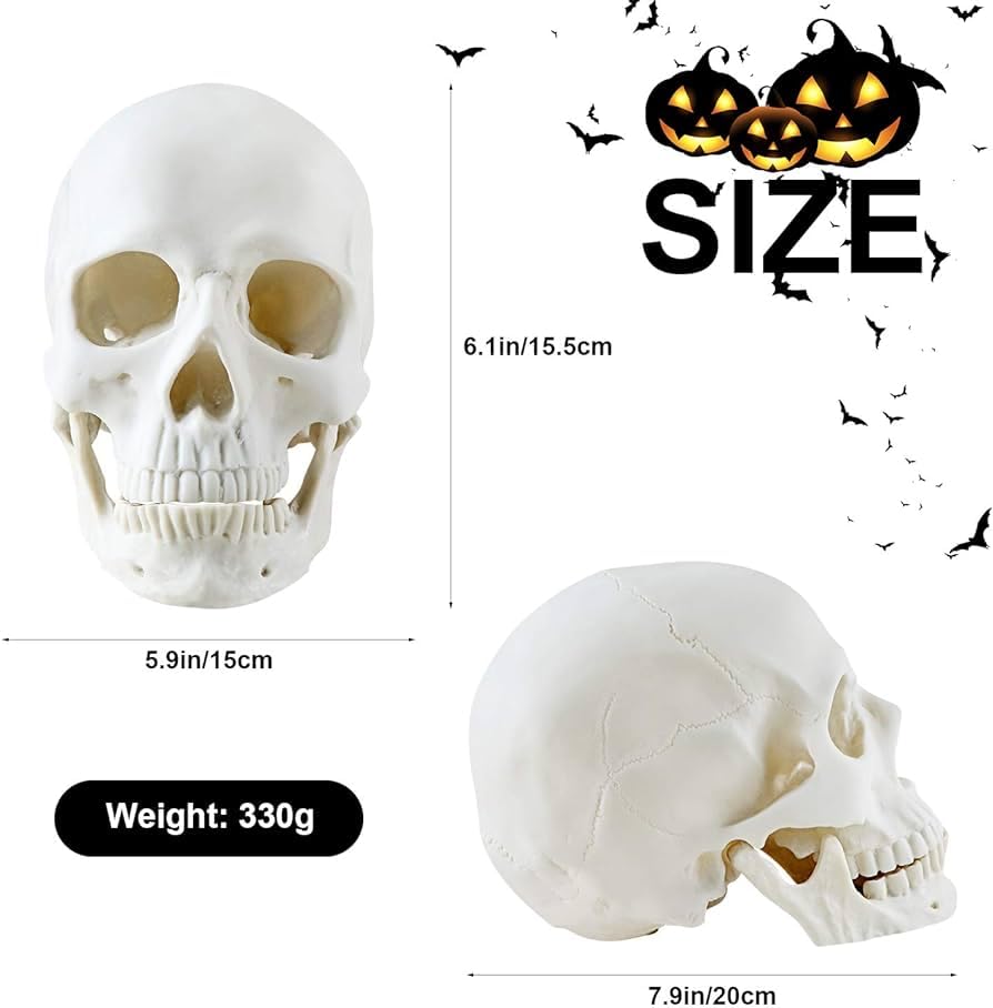 Life Size Skeleton Skeleton Skull Decor