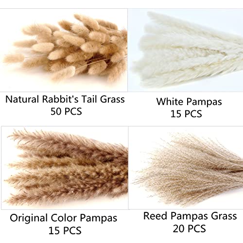 Dried Pampas Grass Decor, 100 PCS Pampas Grass (White and Brown)