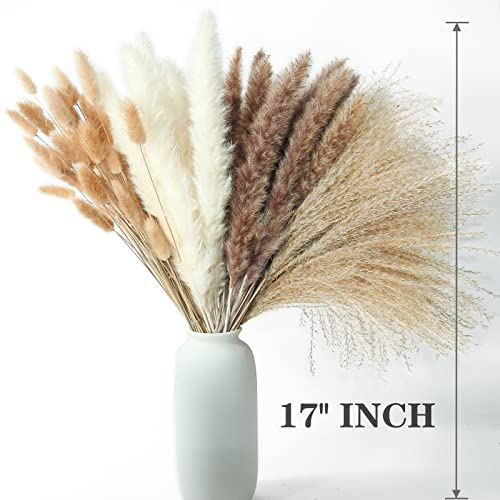 Dried Pampas Grass Decor, 100 PCS Pampas Grass (White and Brown)