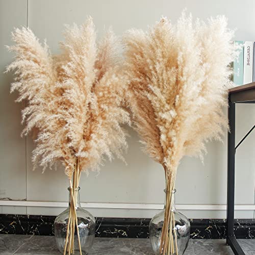 40-inch 10 Stems Tall Natural Pampas Grass Decor