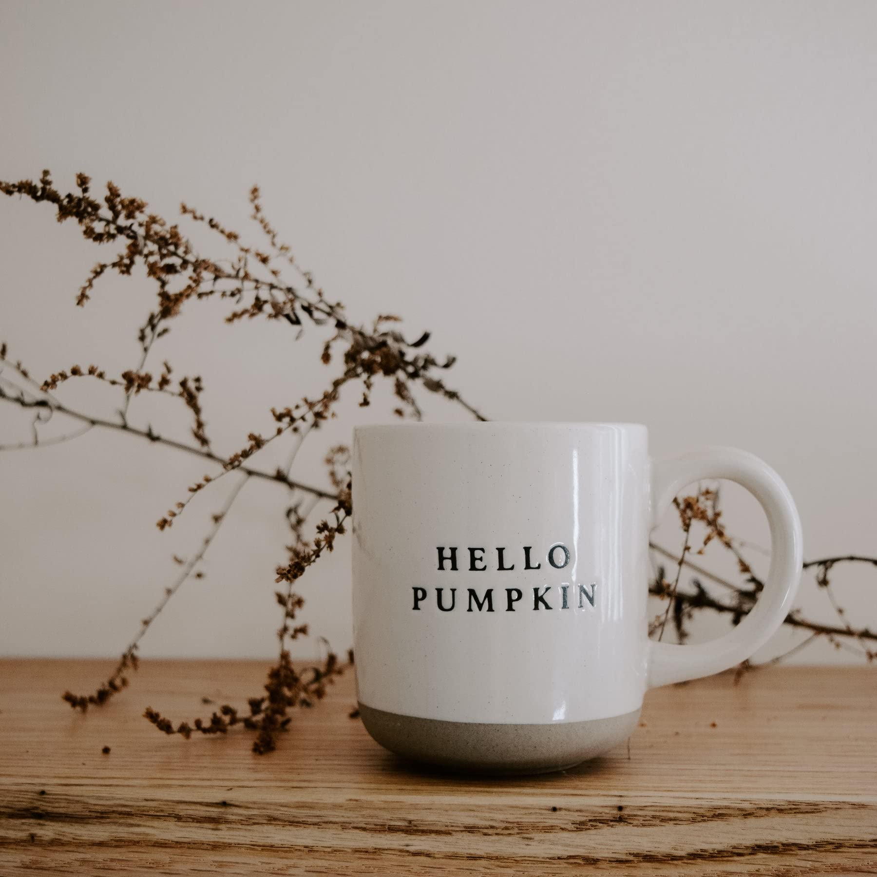 14oz Hello Pumpkin Coffee Mug