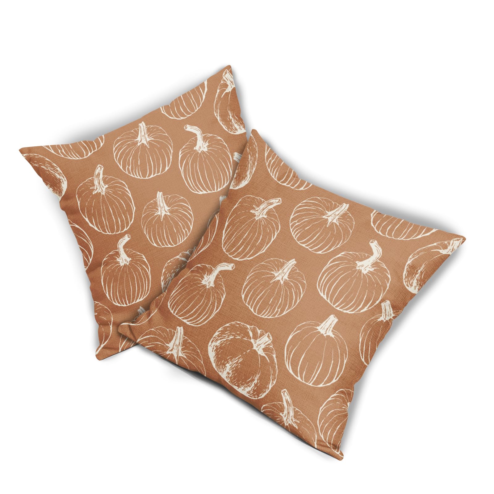 Fall Pumpkin Pillow Covers 18x18 Set of 2