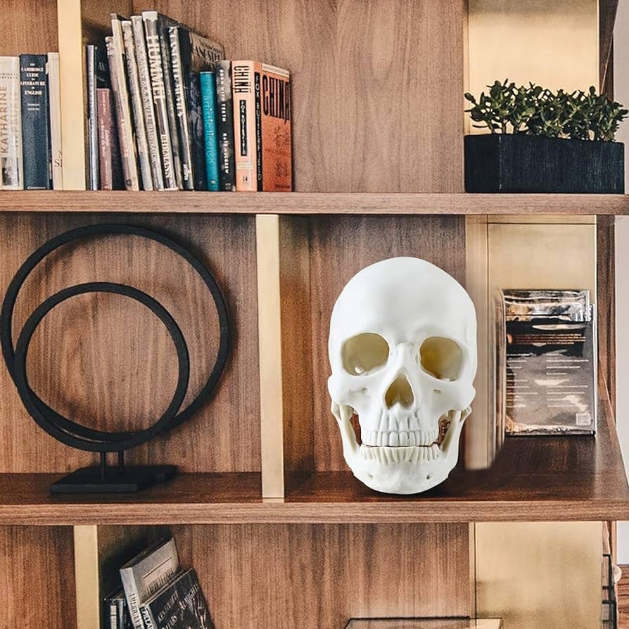 Life Size Skeleton Skeleton Skull Decor