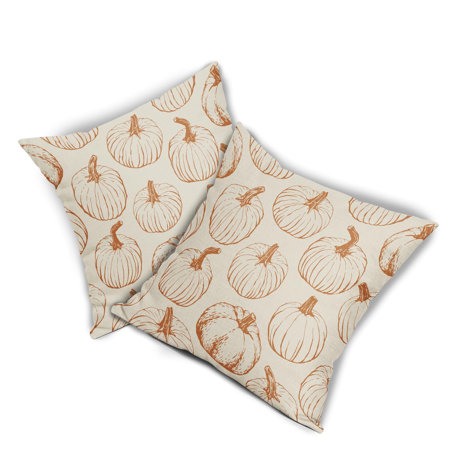 Set of 2 Pumpkin Decorative Throw Pillow Covers