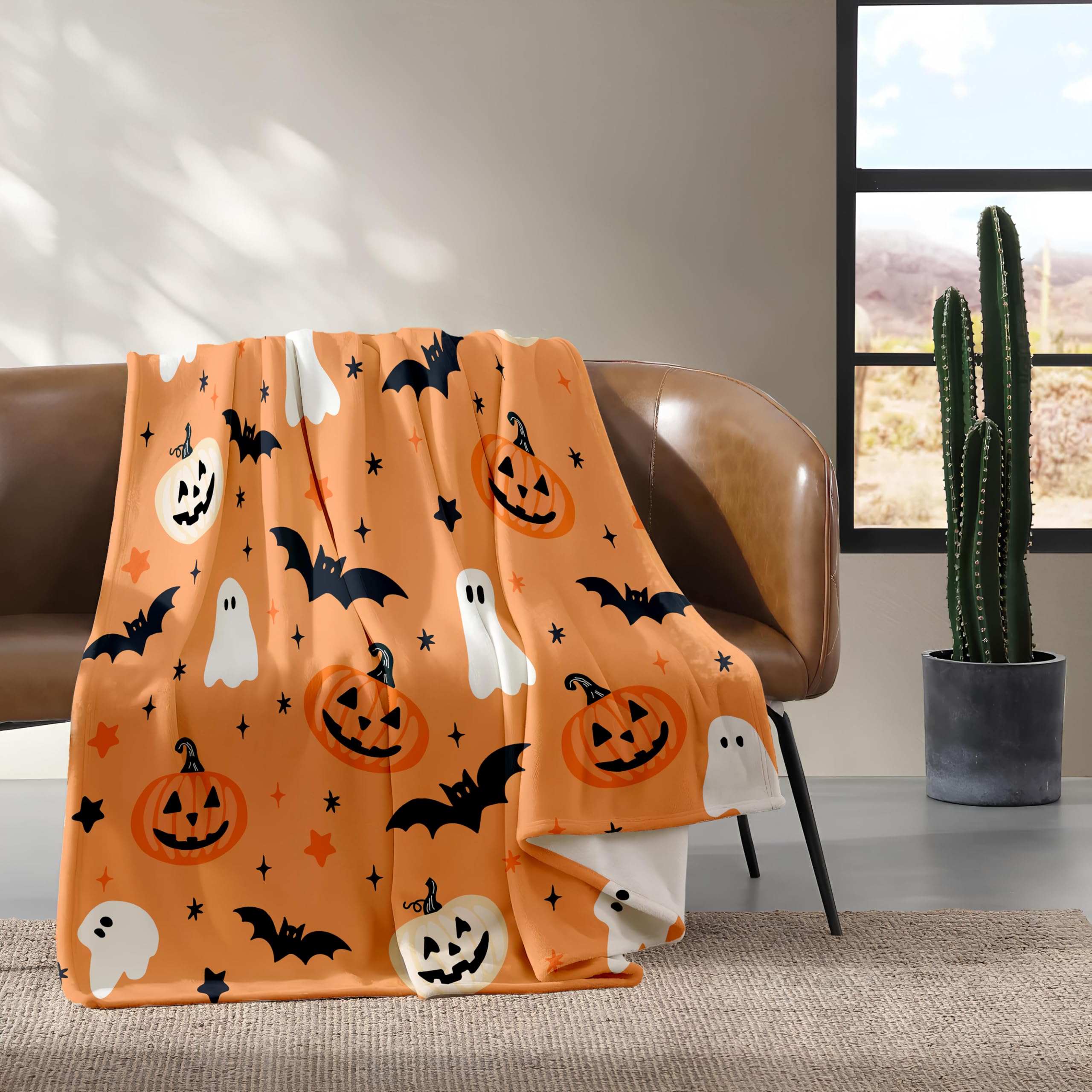 Halloween-themed blanket draped over a chair in a room with a cactus plant.