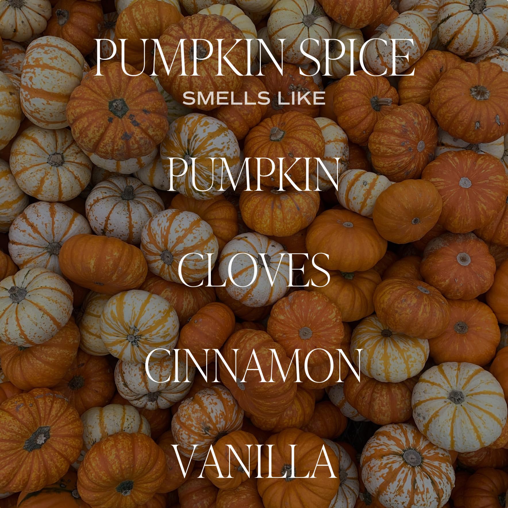 Sweet Water Decor Pumpkin Spice Soy Candle