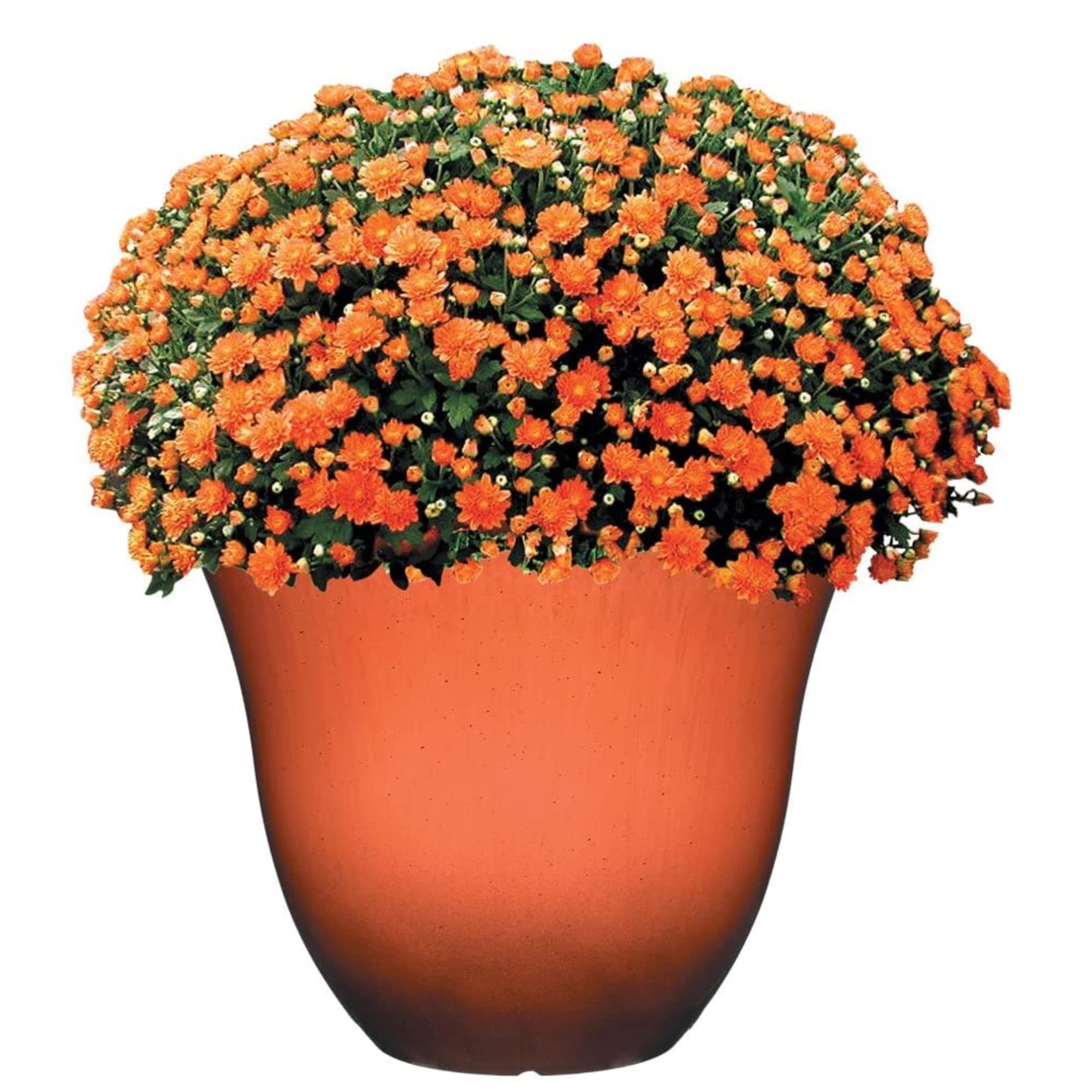 Resin Flower Pot Planter, Orange Ember, 13"