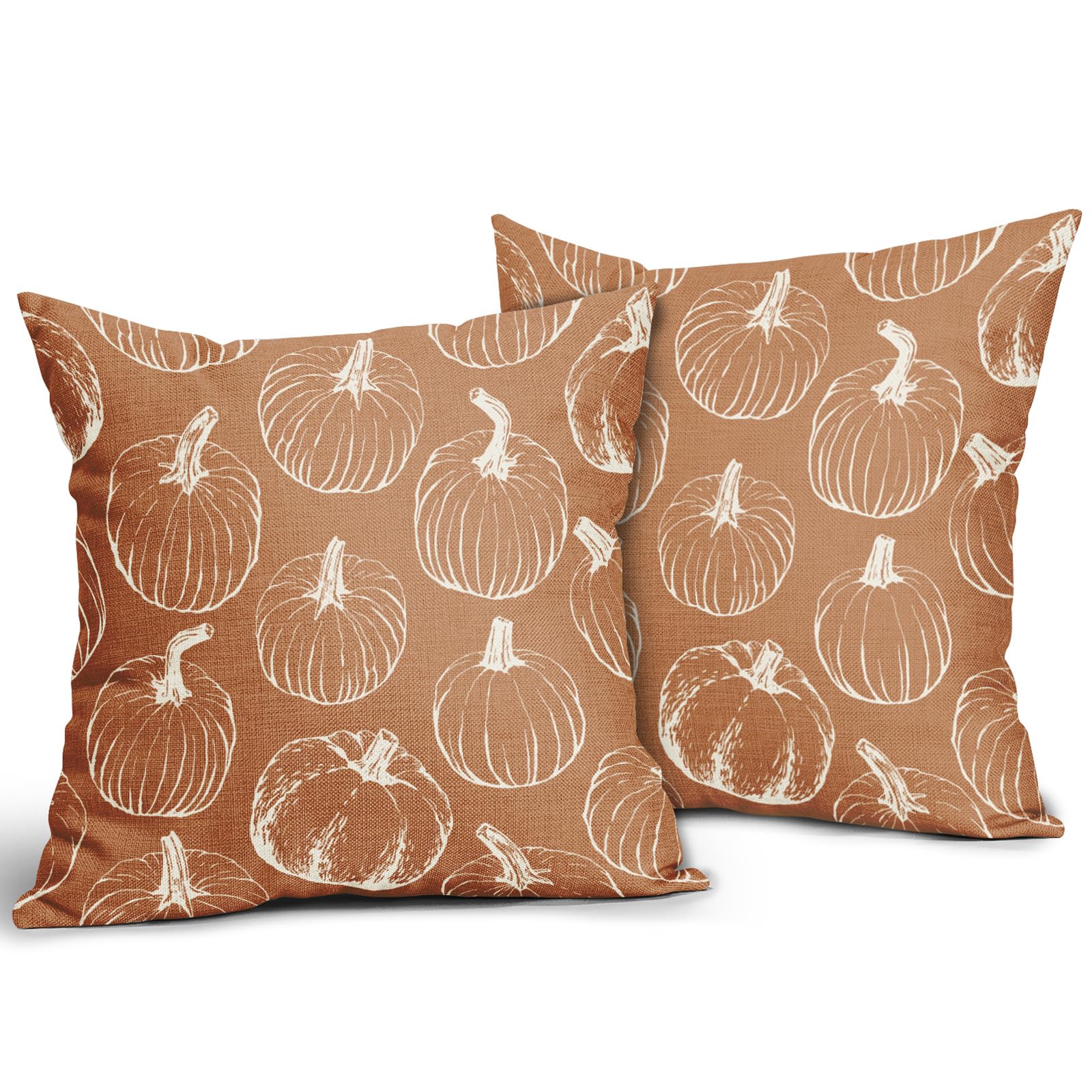 Fall Pumpkin Pillow Covers 18x18 Set of 2