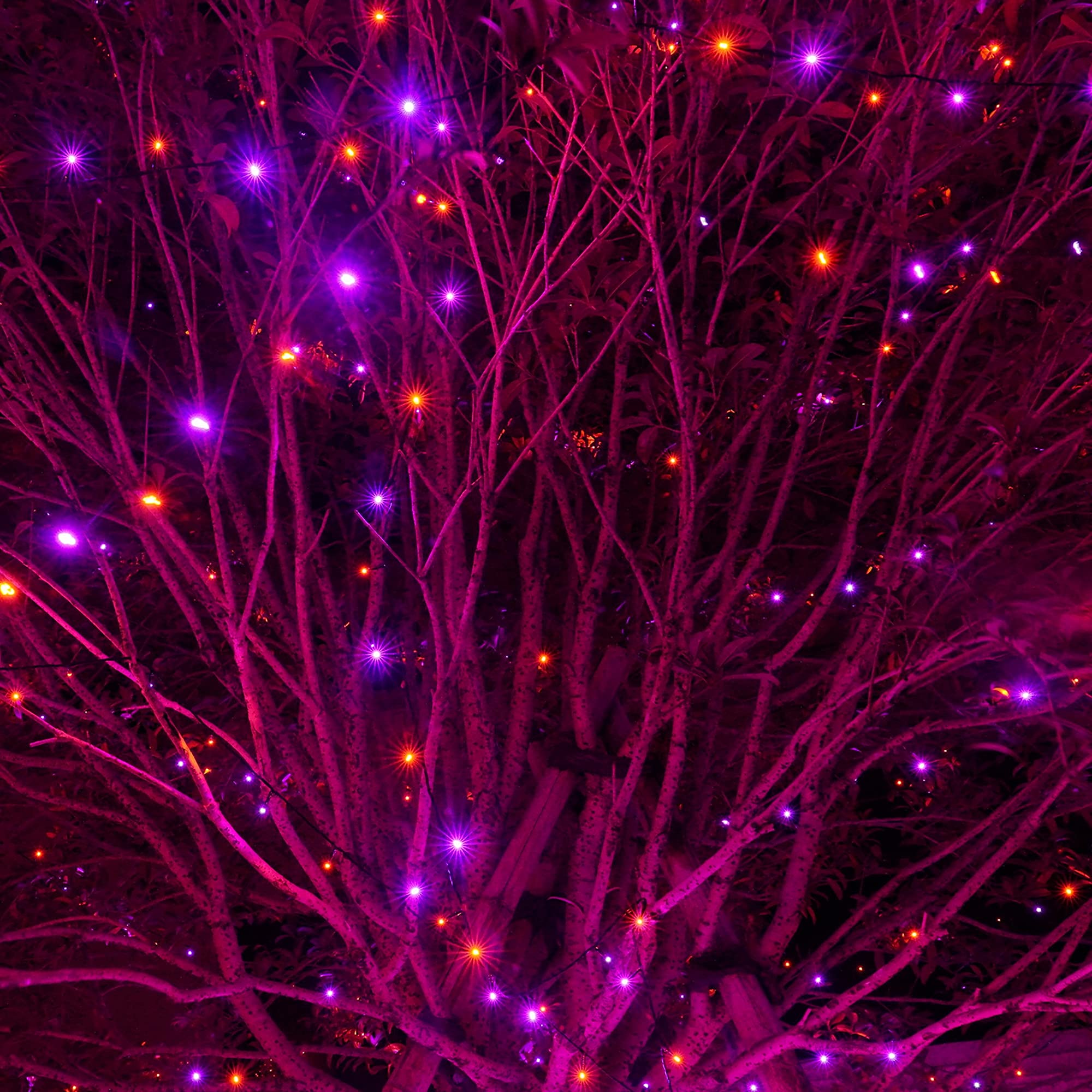 Halloween 300 LED String Lights, 100FT String Lights with 8 Lighting Modes (Purple & Orange)