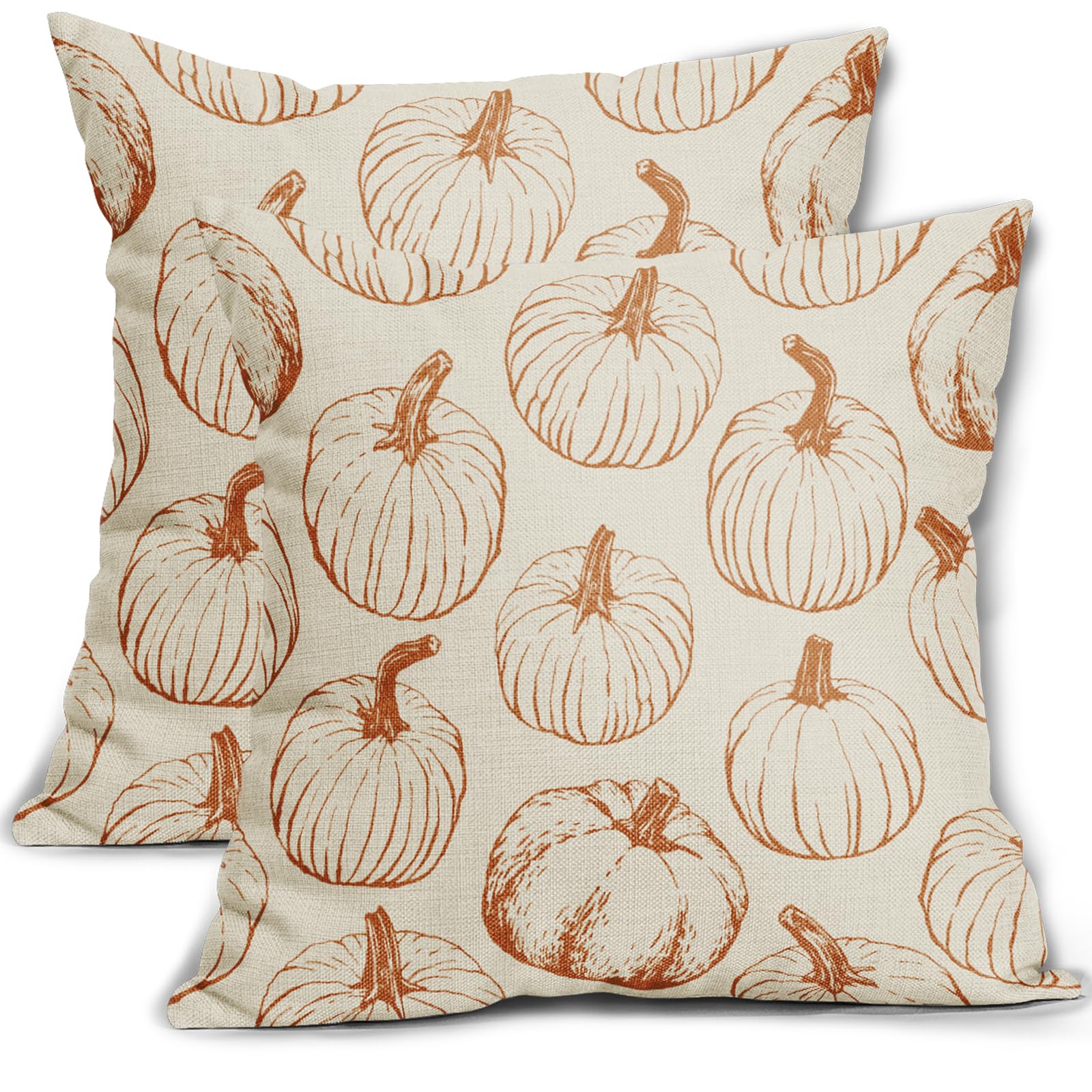 Set of 2 Pumpkin Decorative Throw Pillow Covers