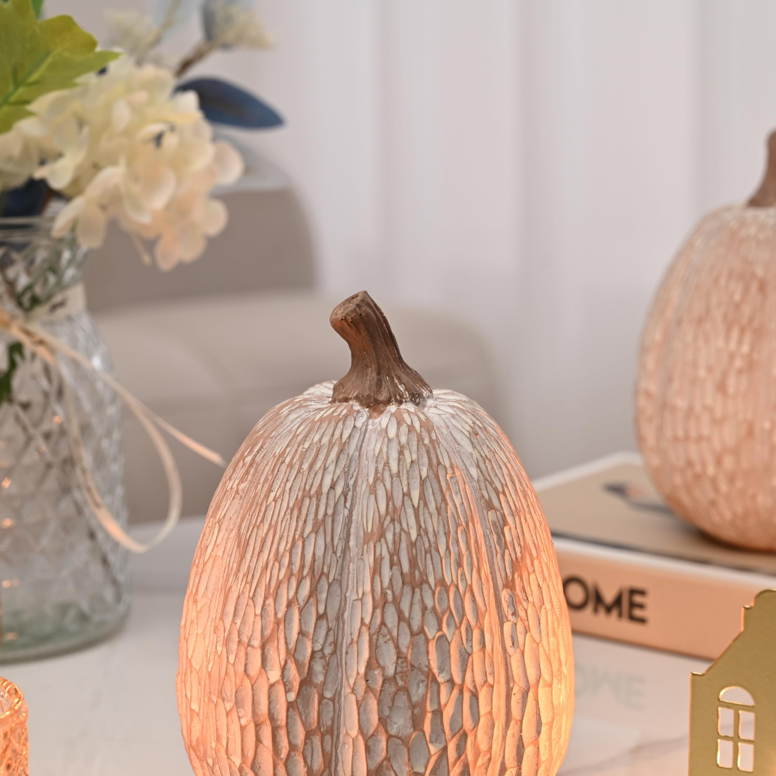 Brown and White Decorative Pumpkins Set of 2