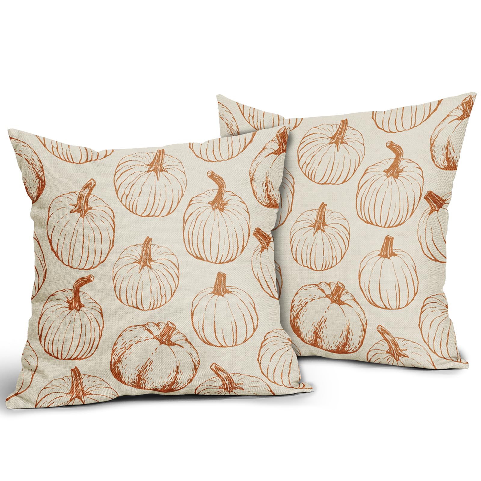 Set of 2 Pumpkin Decorative Throw Pillow Covers