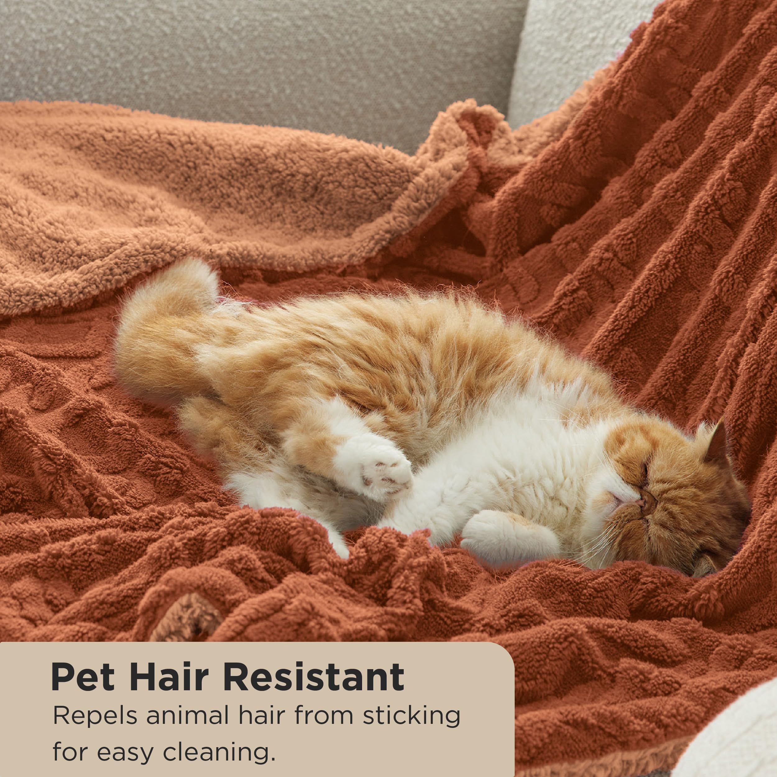 pet-friendly blanket repels animal hair from sticking for easy cleaning